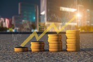 Wind金融数据：监管报送、风险监控与投资决策必备工具