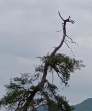 老股民炒股总亏钱，贪心作祟！身边朋友的血泪教训