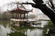去了合肥5次，终于了解合肥！为大家推荐值得一去的景点！