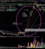 拥抱牛市实时解盘：挖掘重组潜力股，捕获高成长龙头股技巧
