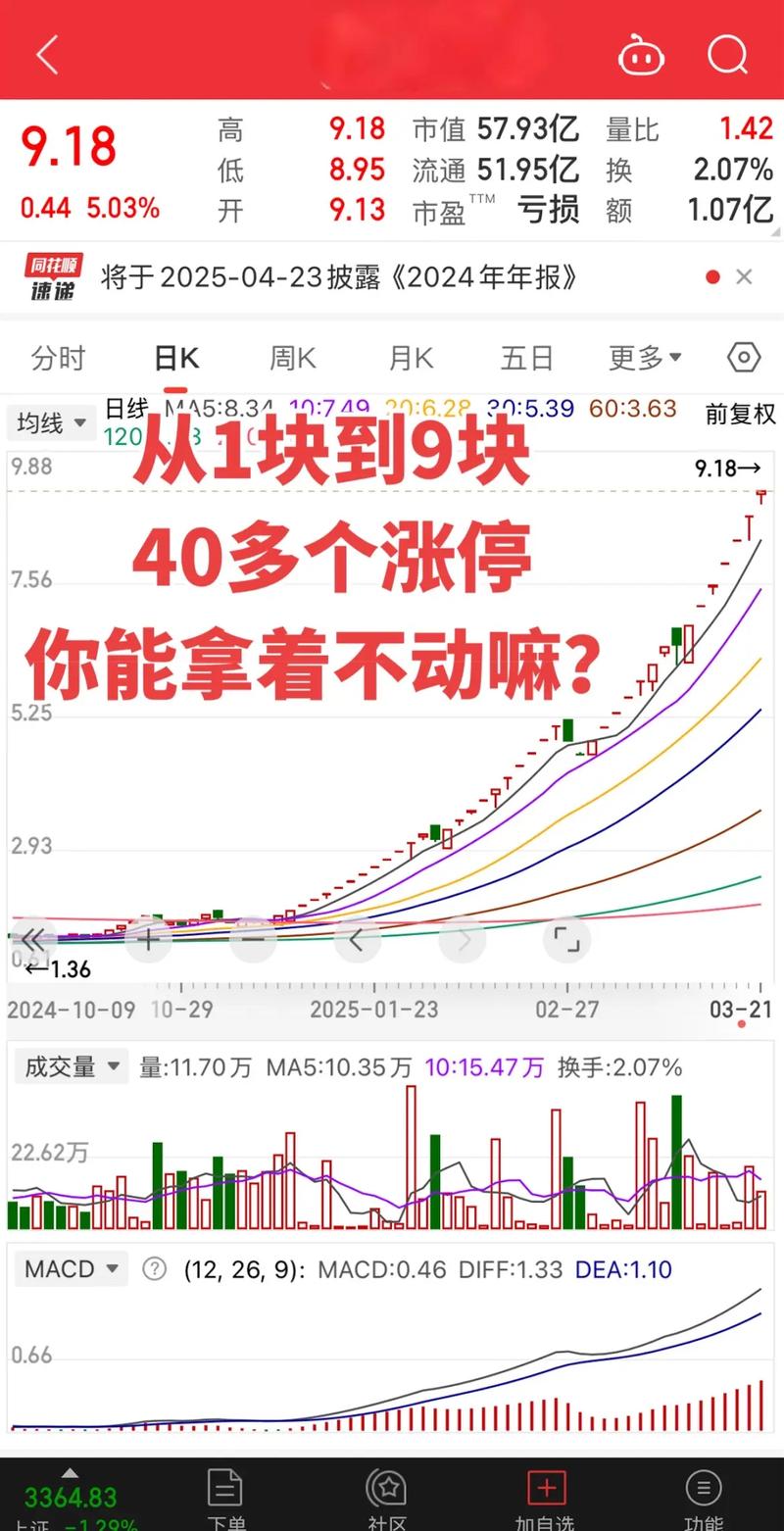 股市风险管理技巧_新股民入市指南_新股民入市十日读