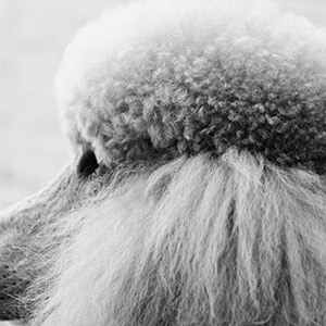 股指期货配资 广州_股票期权是什么意思_配资炒股被骗怎么办