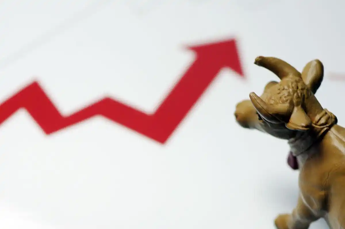 炒股风险控制技巧_炒股稳定获利法_股民稳定盈利策略