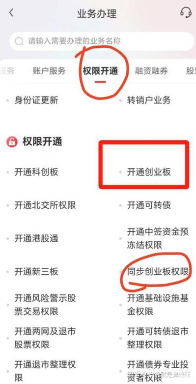 新股民如何买创业板_创业板交易权限申请条件_如何开通创业板交易权限