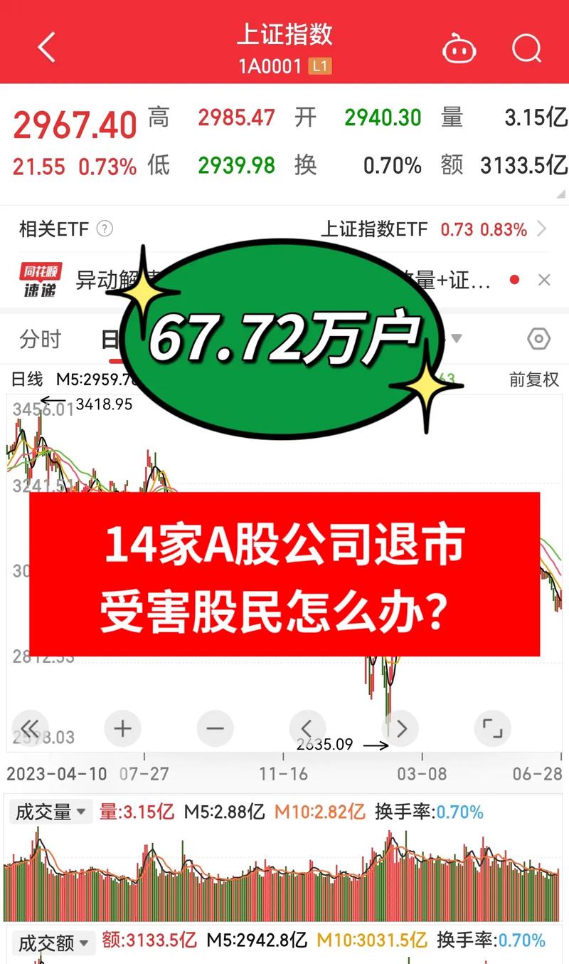 股票退市股民赔偿_股票退市股民钱怎么办_退市股票投资风险