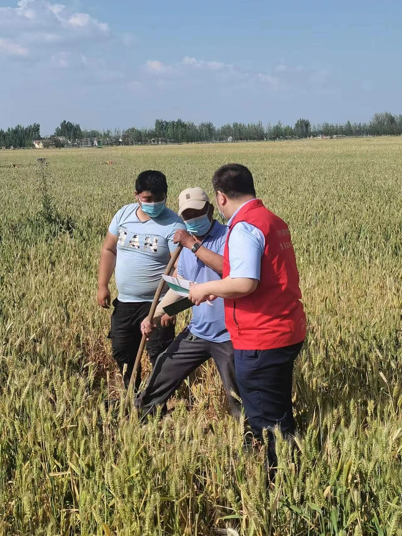 普惠金融扎根行动_济宁农商银行普惠金融_济宁农商银行助农服务