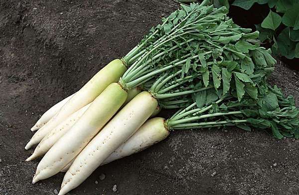 浙商证券投顾服务纠纷_券商代客炒股事件_炒股亏一半到回本