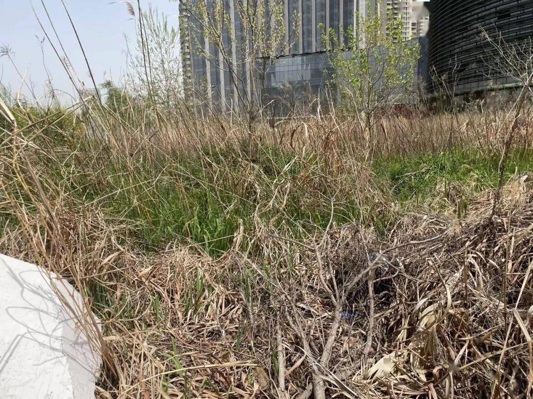 金沙湾富力广场烂尾楼_富力国际金融中心_南通富力广场公寓延期交房