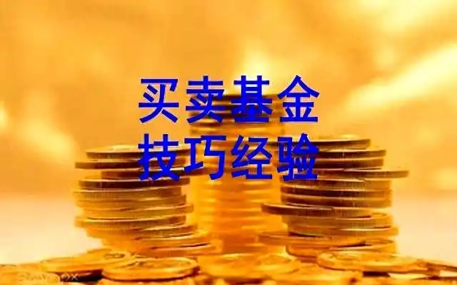 新基民买基金_基金投资避坑指南_基金投资技巧