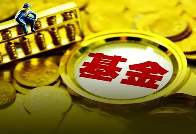 新基民买基金_基金投资技巧_基金投资避坑指南