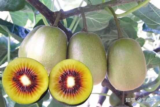 凤凰金融平台_凤凰古城旅游攻略_凤凰古城景点介绍