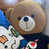 散户股民_监管层保护措施_A股散户投资行为