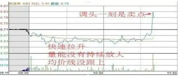 股票T+0操作_只做一只股票_炒作技巧入门新股民必备提高本