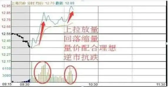 股票T+0操作_炒作技巧入门新股民必备提高本_只做一只股票
