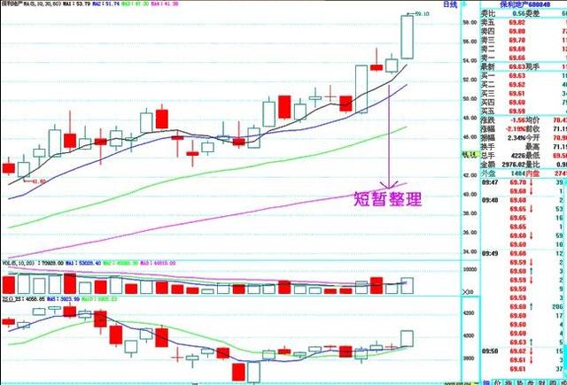 鳄鱼投资之道_鳄鱼生存策略_新股民股市致胜必读书