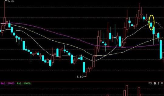 新股民股市致胜必读书_鳄鱼生存策略_鳄鱼投资之道