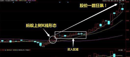 鳄鱼投资之道_新股民股市致胜必读书_鳄鱼生存策略