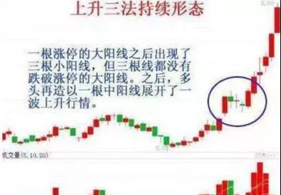 投资市场理性耐心策略_鳄鱼投资生存之道_新股民股市致胜必读书