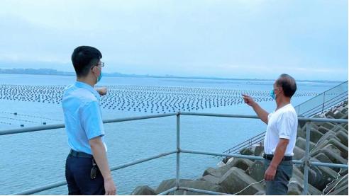  乡村振兴 金融创新 _泉州农信系统 十年发展 _泉州南安有民间基金会放贷吗